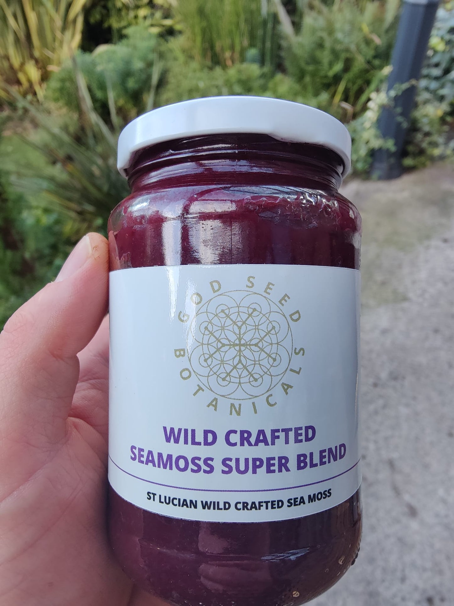 Wild crafted sea moss super blend